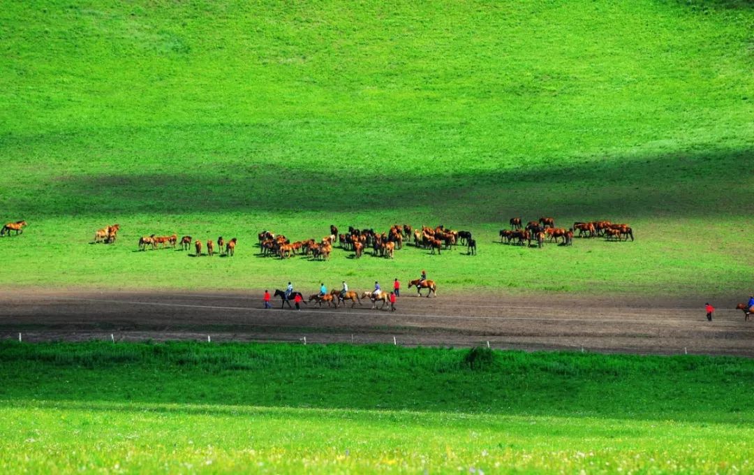 北京避暑,北京值得一去的皇家园林