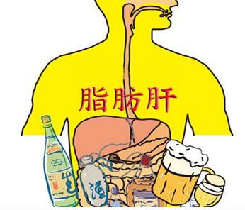 肝内脂肪沉积与脂肪肝的具体区别,肝内脂肪沉积和脂肪肝有什么区别