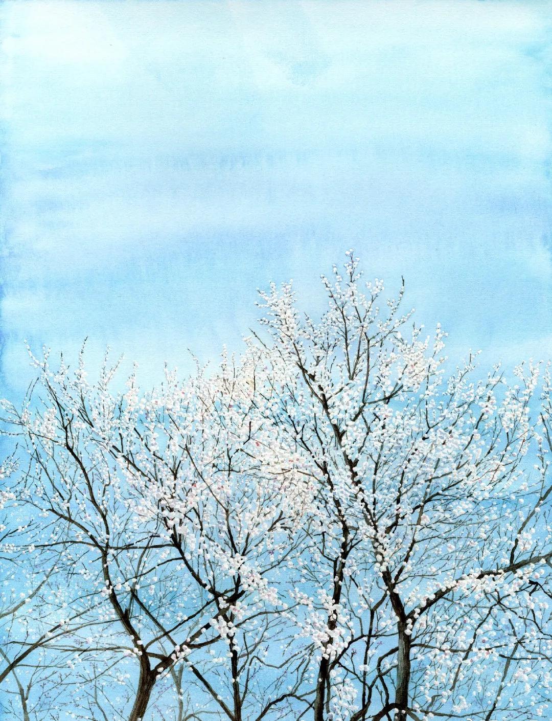 韩国高清顶级插画师,韩国插画师kwon