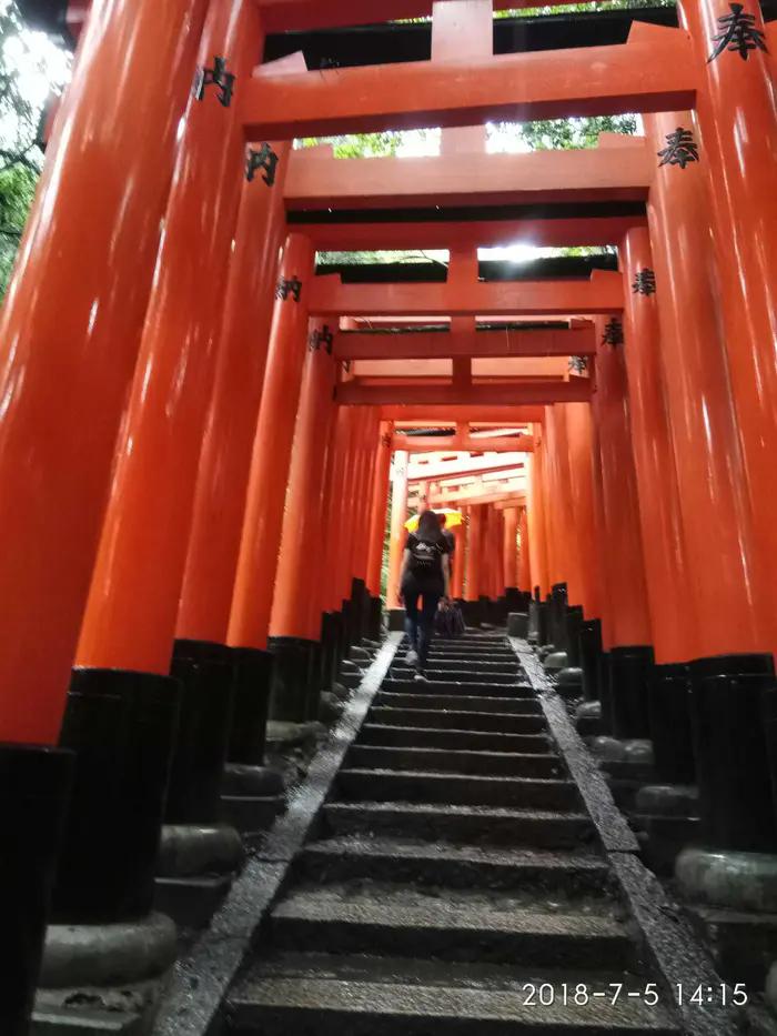 日本东京塔游记,东京名古屋游记