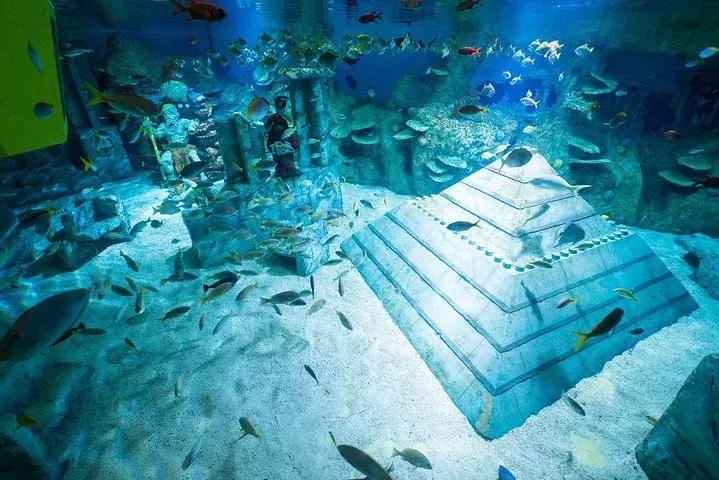 沉浸式乐园强势来袭游客“刷刷刷”不停