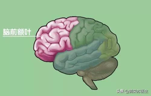 走进神秘的大脑世界：不同脑区损伤的临床表现（值得收藏）