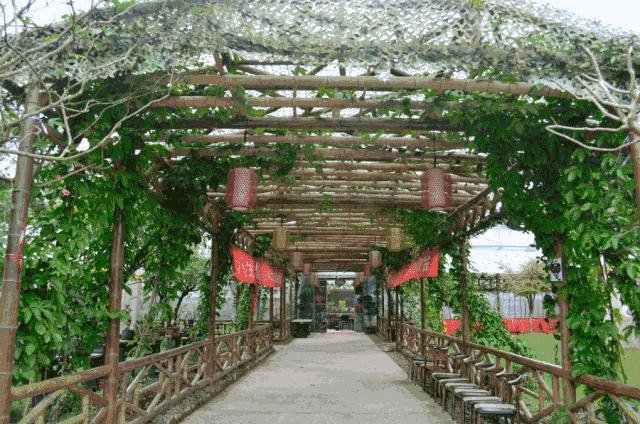 雨城名字由来,雨城区乡镇区划调整方案