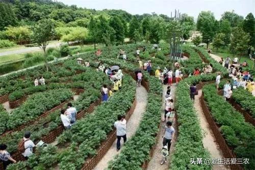 如何在农村创业好项目推荐,5个适合乡镇致富的创业点子