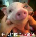 藏不住了！温州万达衣麦仓“时尚基地”，潮人们都去打卡啦