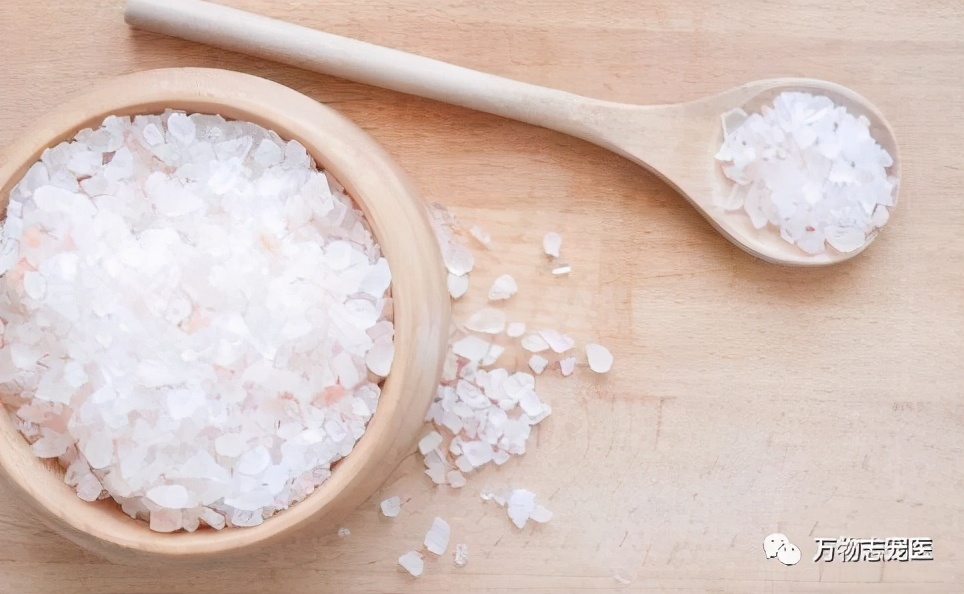 养鹦鹉注意事项和必备用品,养宠的危害