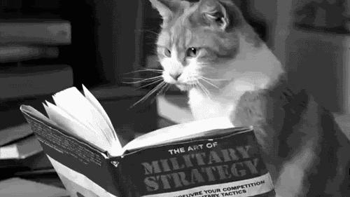 齐家典尚丨橱柜选购猫腻多——选橱柜到底比的是什么