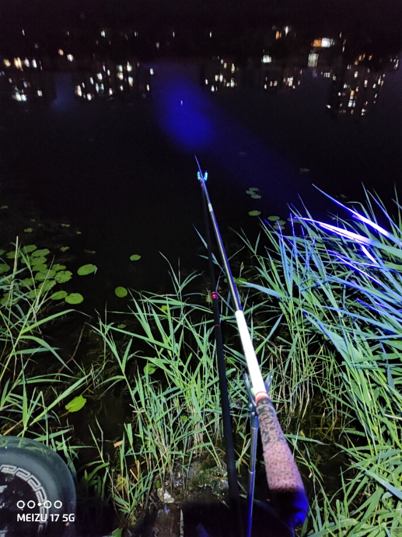 化氏4号鲫和6号鲫大板鲫野外测评,化氏4号鲫和6号鲫经典配方