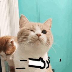 那些你不知道的护肤成分,不踩坑护肤的哪些成分不可忽略