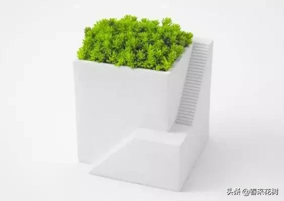 花盆里的杂草到底要不要拔,花盆里的杂草应当拔掉还是剪掉