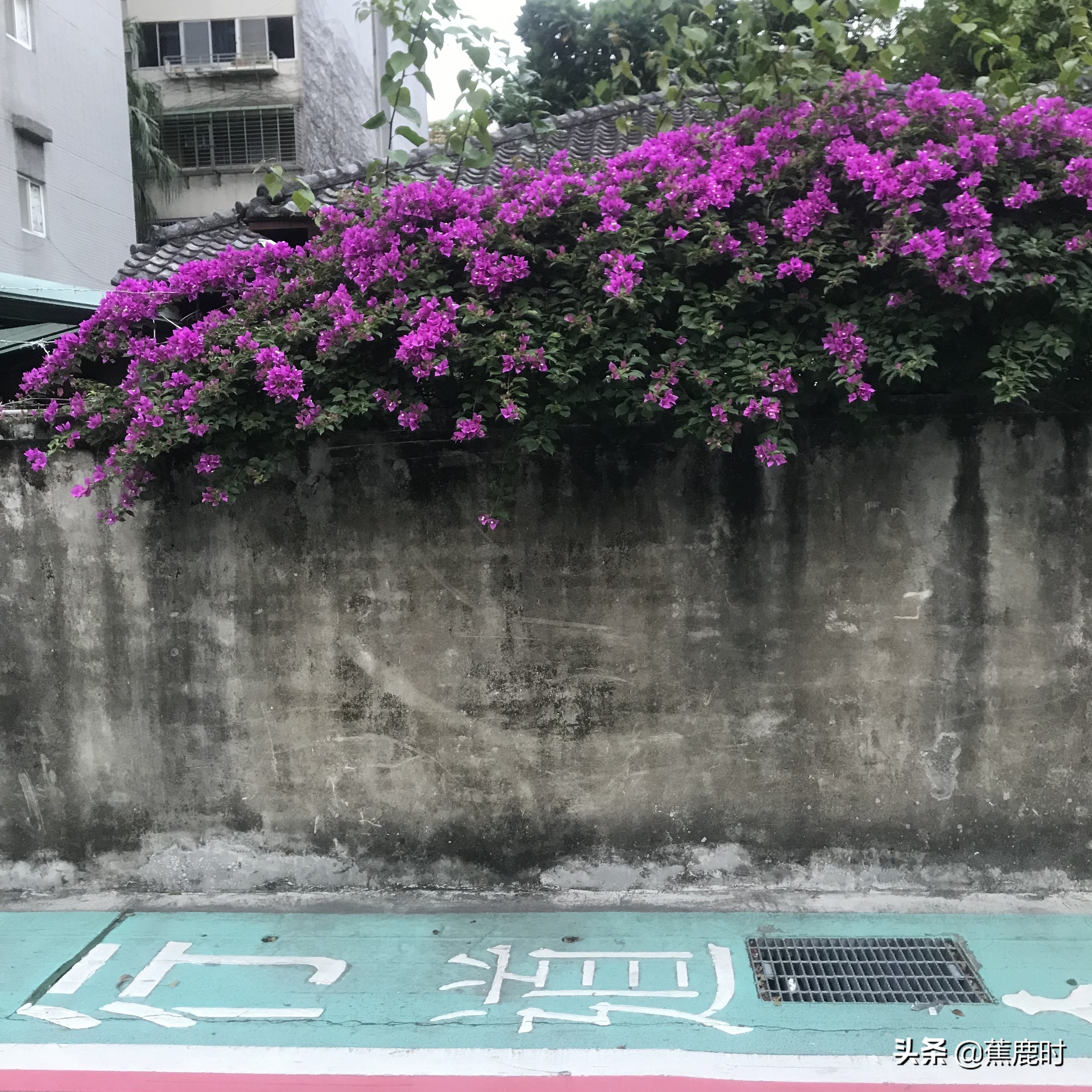 【原创连载《路回》】十七回苦念泽丧妻失子欲收张沐于膝下