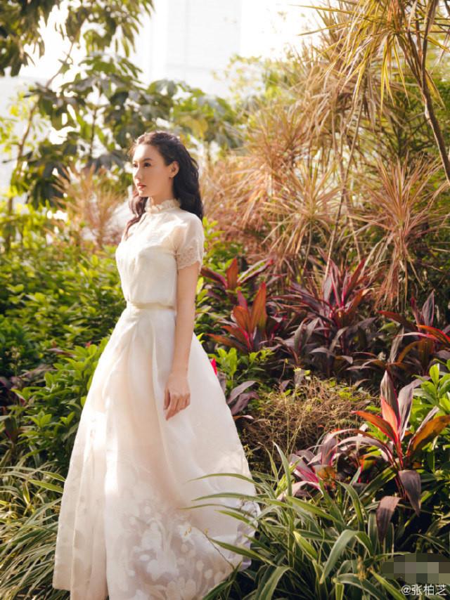 张柏芝被经纪人追讨千万违约金,张柏芝被前经纪人追讨上千万