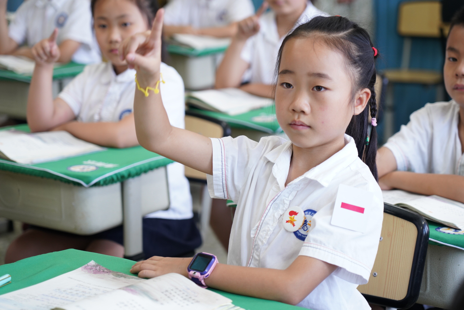 成都市金牛实验行知小学,成都高新区行知小学