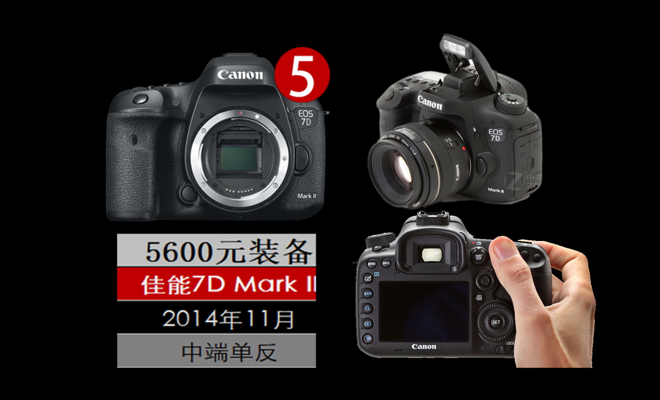 新手入门单反相机推荐10000元左右,摄影小白相机推荐4000价位微单