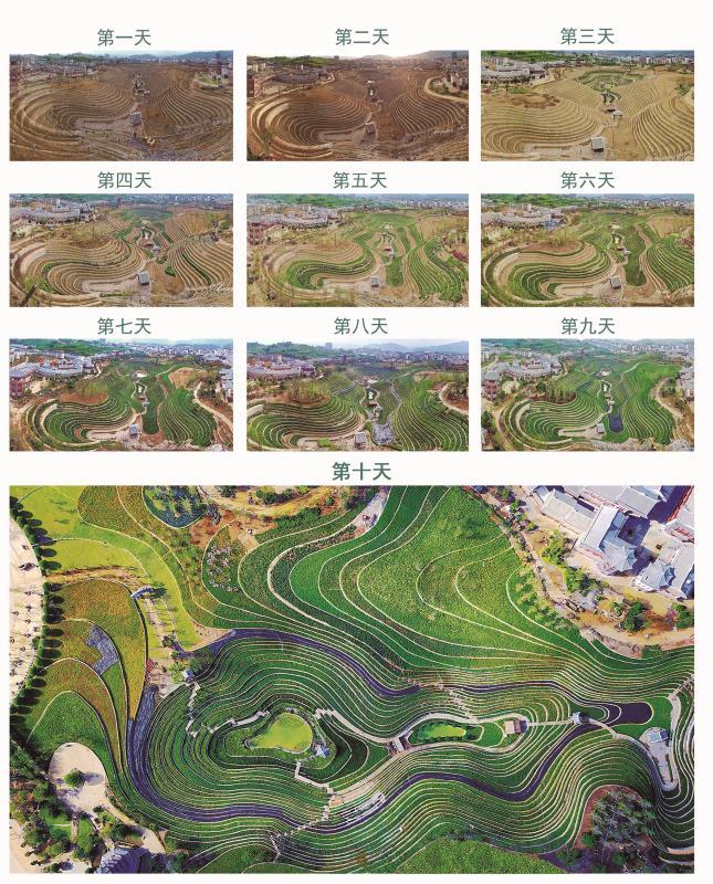 许老板发家史,许老板发迹史