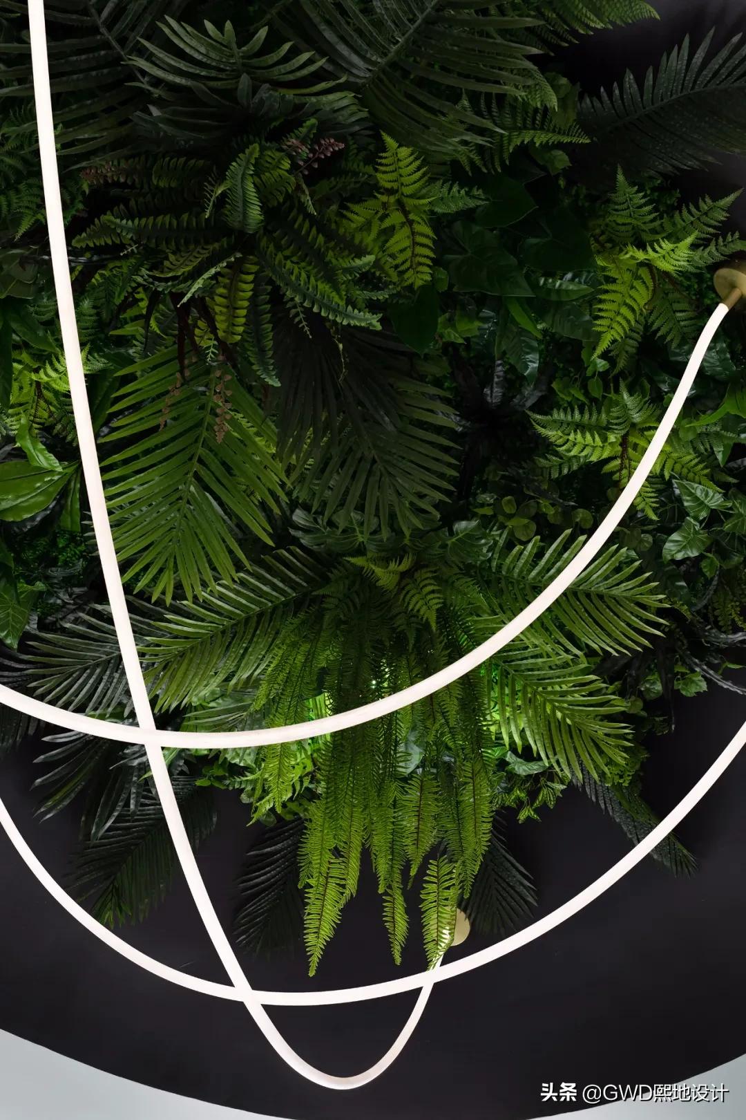 设计创意展示,设计作品展厅设计