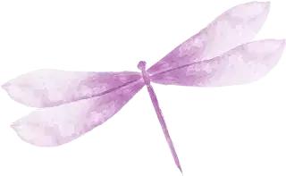 来民馨妇科医院，一步预约江城妇产名医