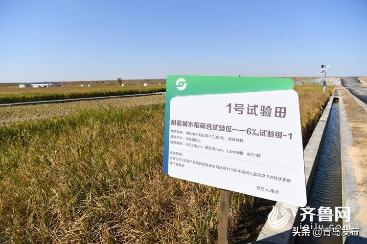 青岛十大攻坚领域,城阳区3年攻坚计划