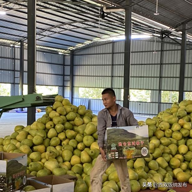 璇辨儜闅炬尅,鍕愪粦鏌氬瓙鍙堝ぇ鍙堢敎