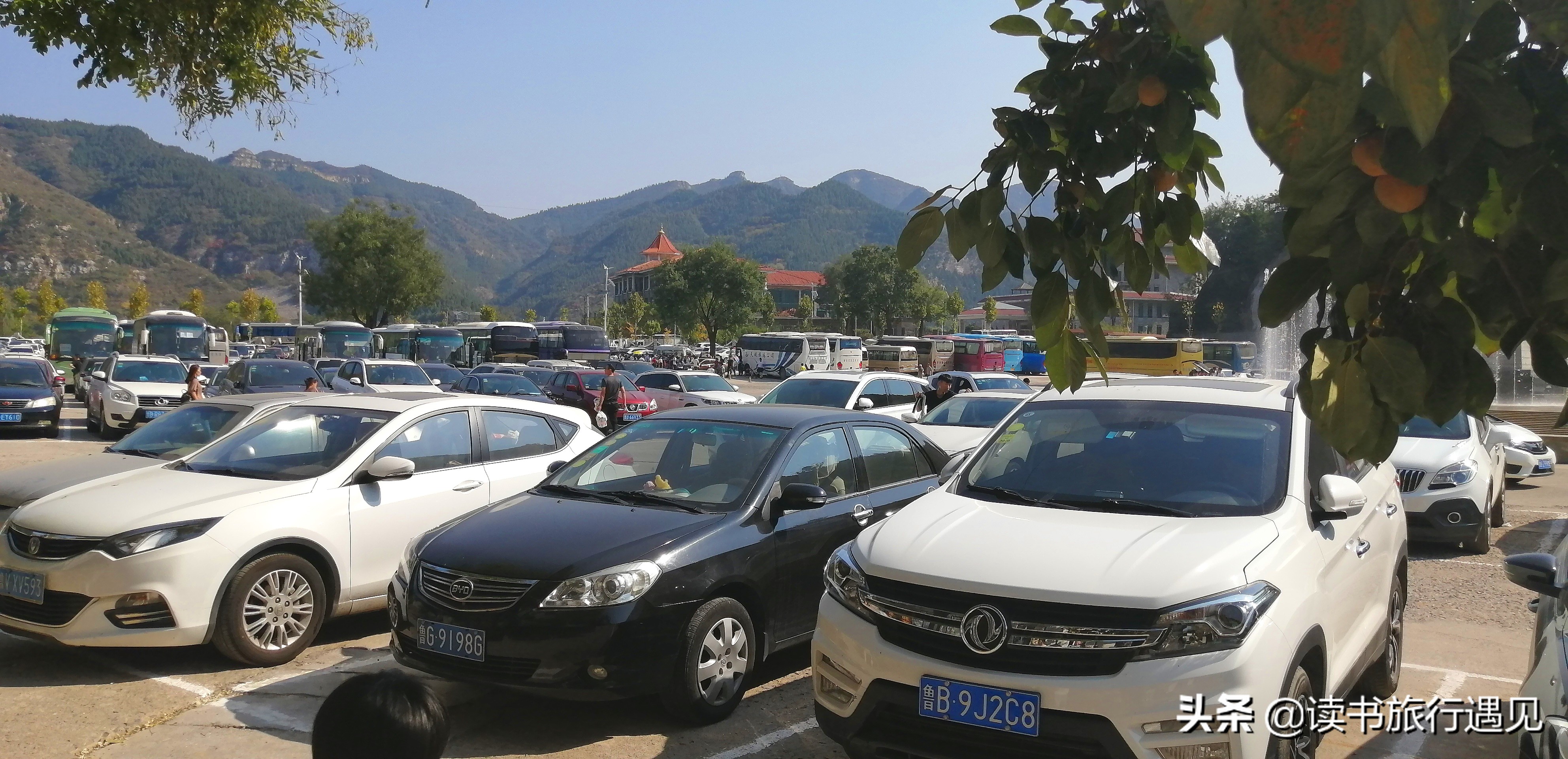 青州黄花溪秋色风景图片,潍坊青州的旅游景点黄花溪一日游