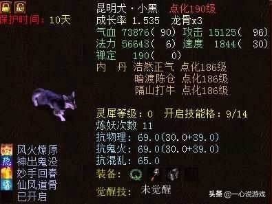 大话西游2野狗视频讲解,大话西游二养殖用什么小妖