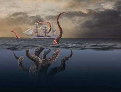 章鱼是外星生物竟然有三颗心脏,章鱼九个大脑三个心脏