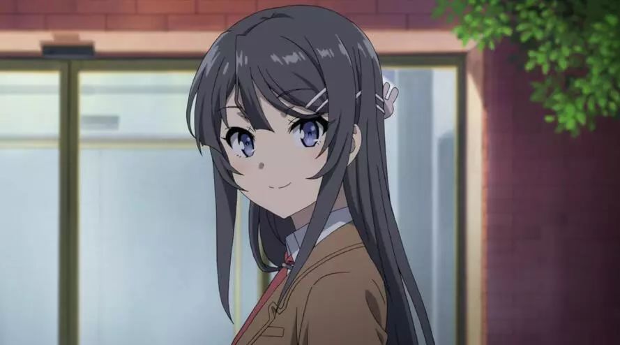 樱岛麻衣解析,樱岛麻衣深度解析