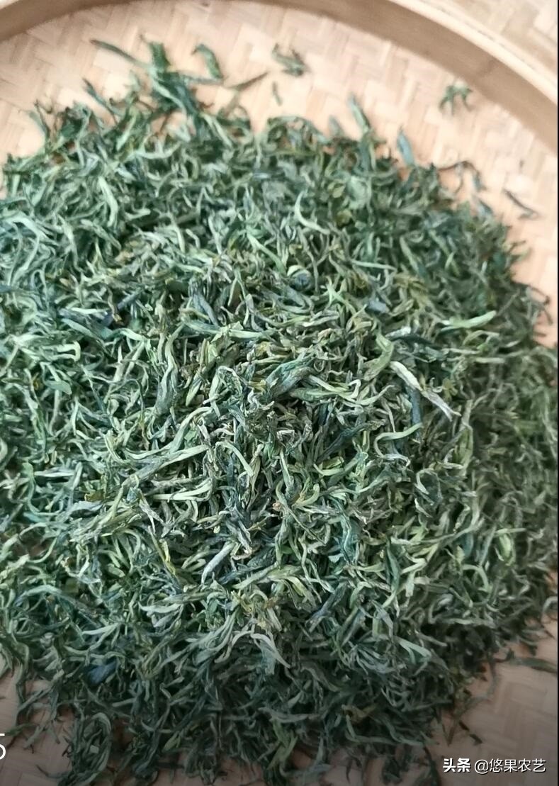 家庭茶叶炒制方法,春天炒绿茶