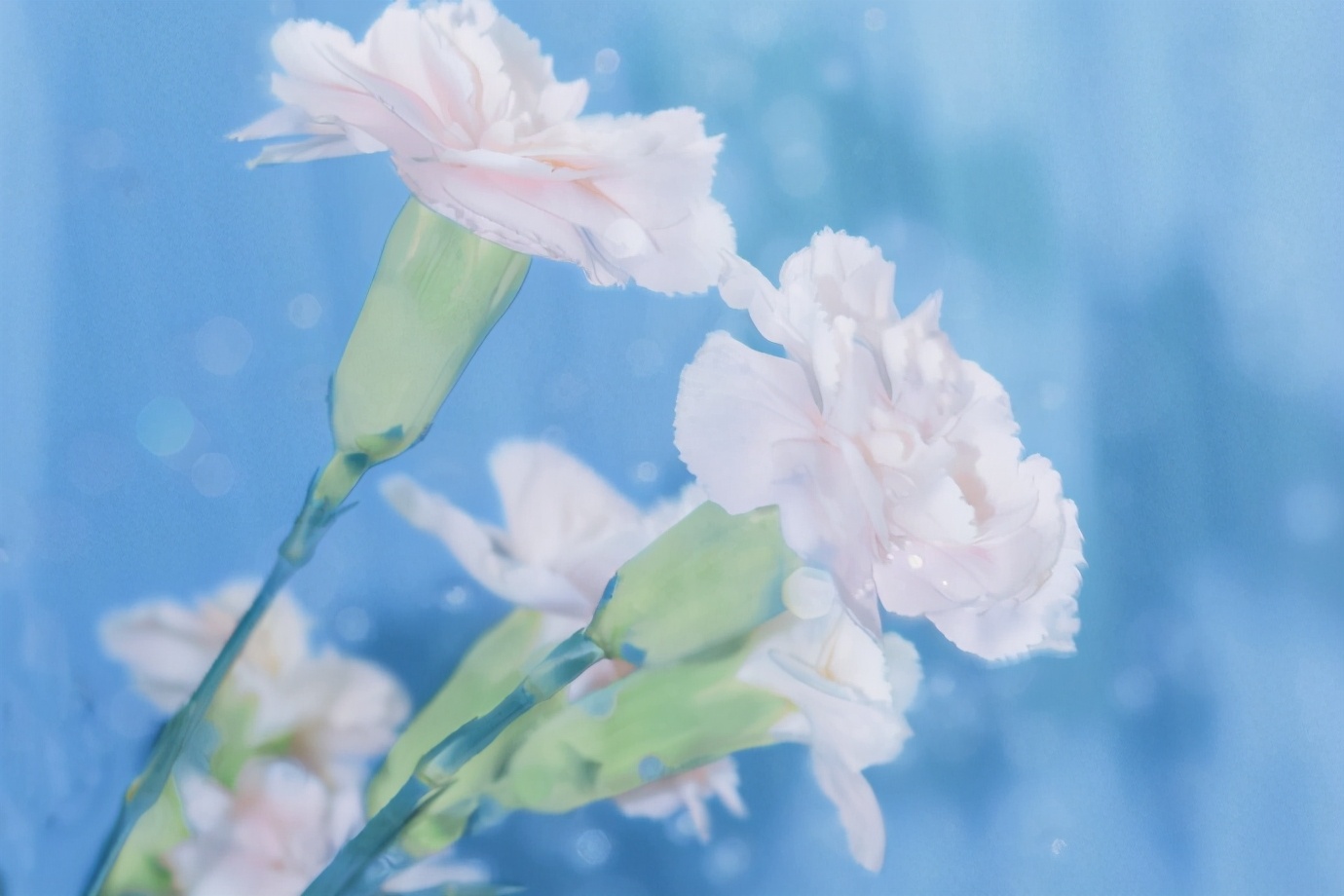 狮子座无敌是多么的寂寞,容易被误解的狮子座