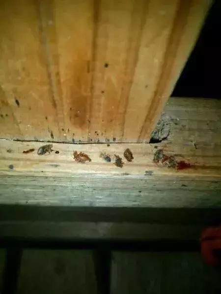 香港鸽笼房和棺材房真实生活,香港的棺材房是怎么样的