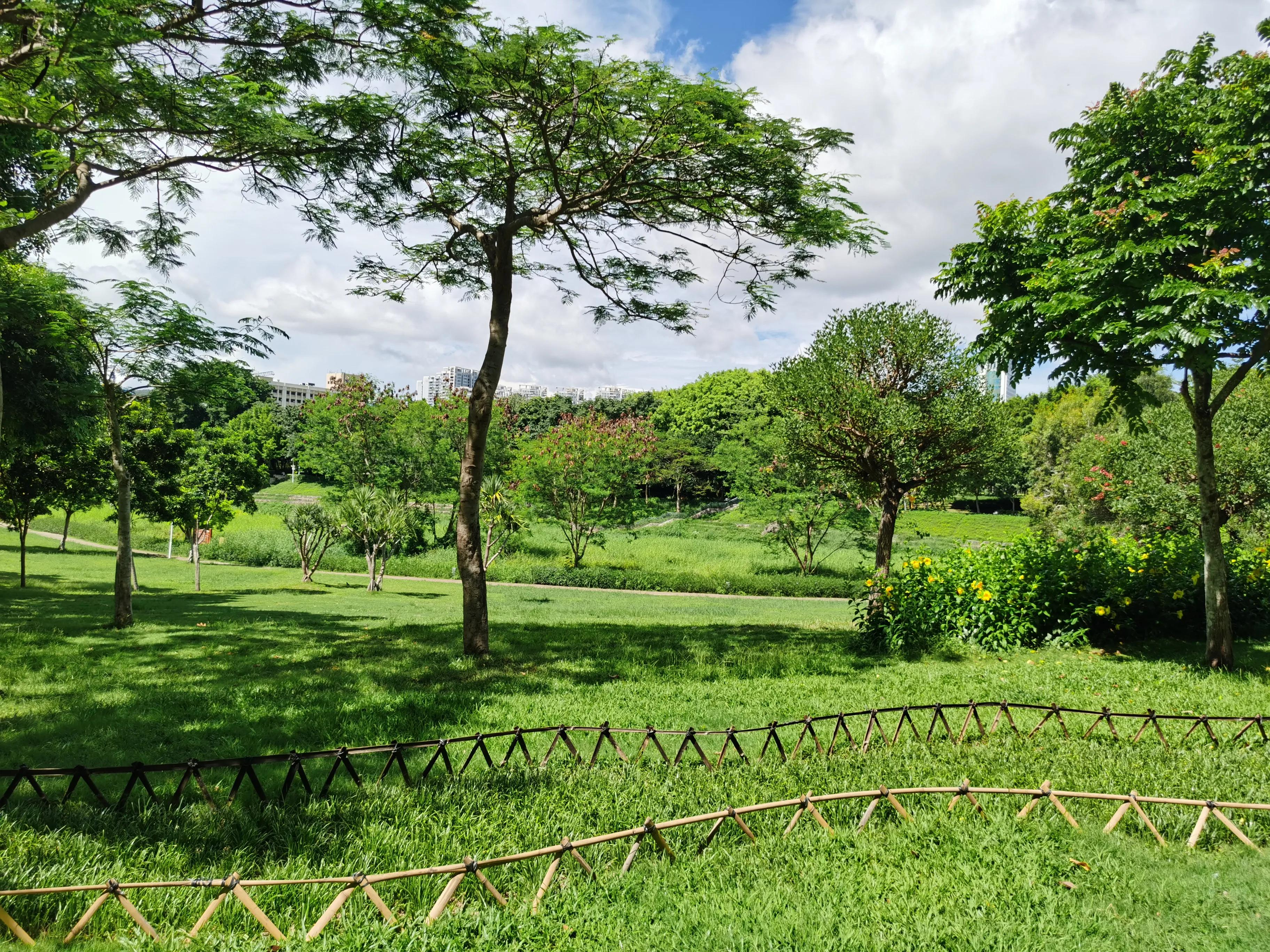 笔架山公园福田河,深圳笔架山福田河图片
