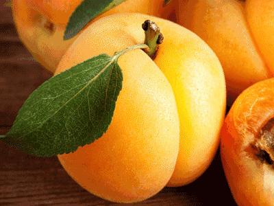 *疆新**瓜果攻略最好的季节配最美味的水果