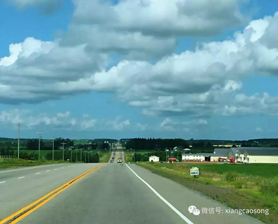 漂洋过海来挖宝,漂洋过海去台湾吃海鲜