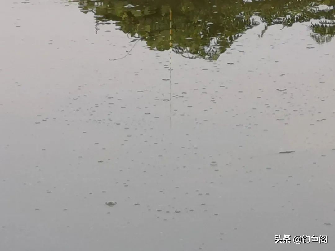 滑口鱼居多的坑怎么钓,滑口鱼口乱用什么浮漂