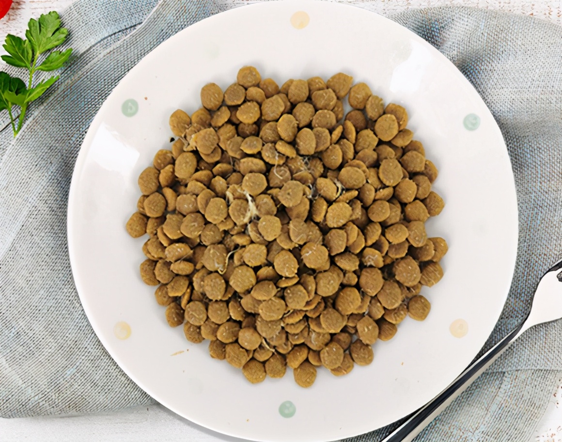 狗粮排名前十品牌哪种狗粮比较好,狗粮什么牌子比较合适新手吃