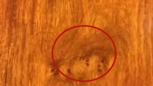 花梨木如何辨别真假,花梨木真假鉴别用什么方法