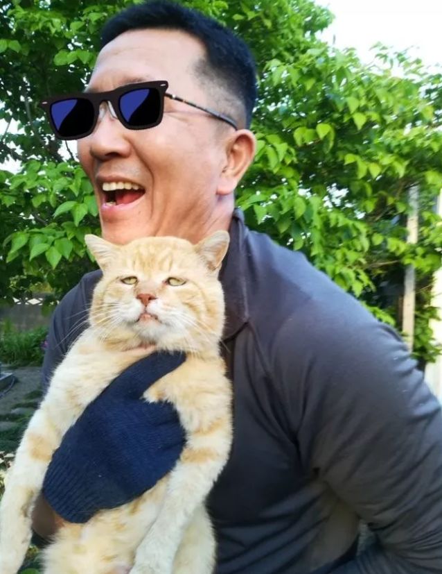 猫咪和主人的温馨时刻,和猫咪快乐的瞬间