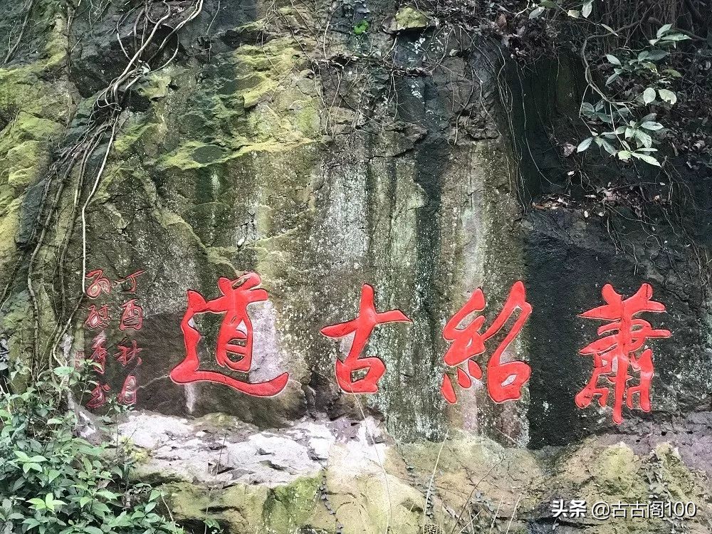 萧绍古道完整版,萧绍古道高度