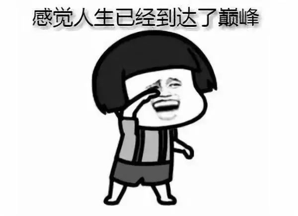 柠檬精是什么意思十大流行语,2022年十大网络流行语官方