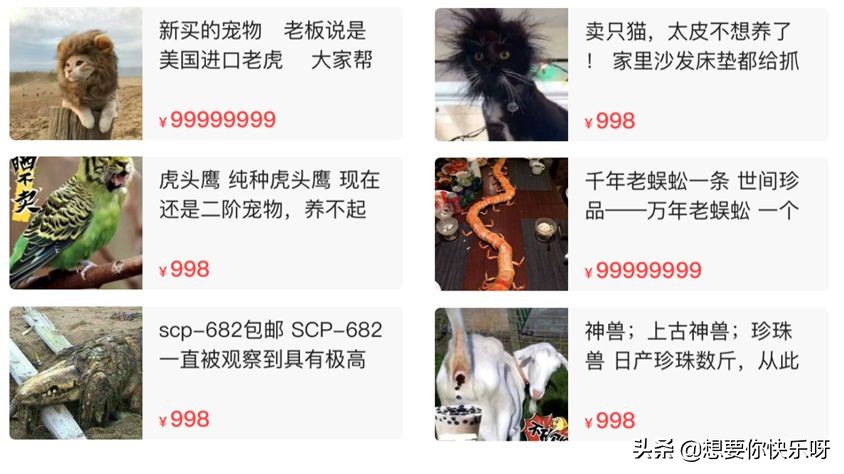 闲鱼卖神兽系列,闲鱼卖神兽的视频