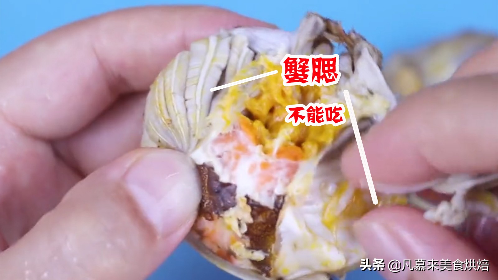螃蟹正确吃法教学视频,误吃了螃蟹不该吃的部位怎么办