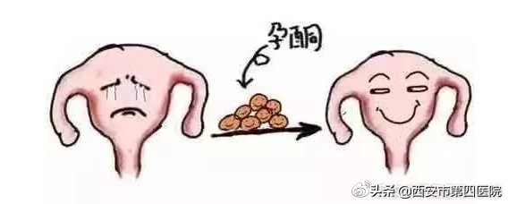 hcg雌二醇孕酮之间的关系,hcg与孕酮雌二醇的关系