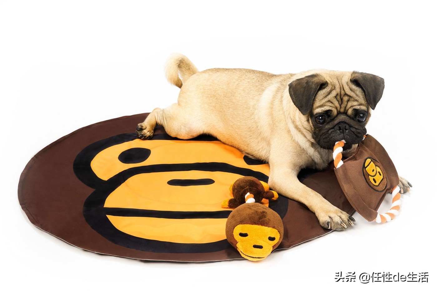 直男一定不会拒绝的礼物,直男不应该选哪样的礼物