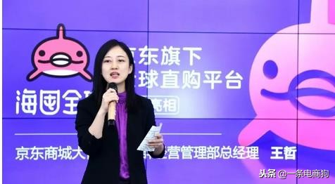 京东全球购是不是京东国际,京东海外购入驻