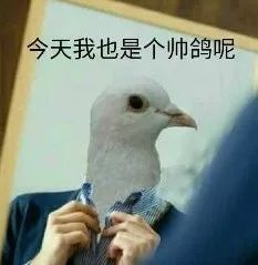 电音群,电音组合成员排行榜