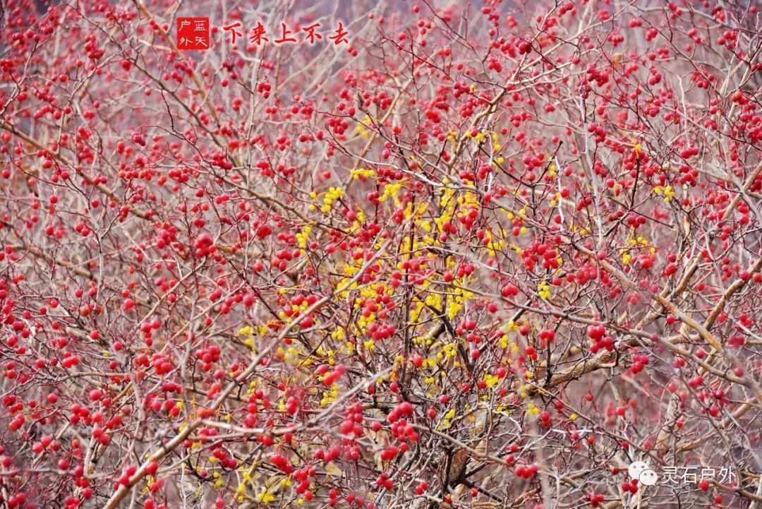 灵石登山运动,灵石登山步道