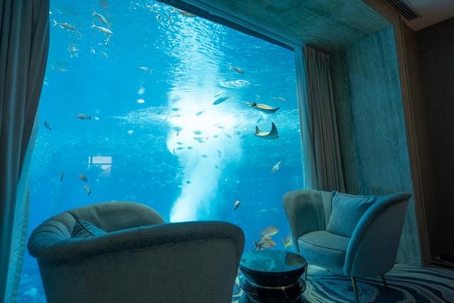 亚特兰蒂斯酒店免费游玩攻略,亚特兰蒂斯酒店三天的旅行