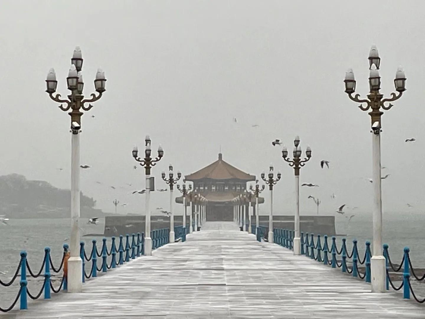 青岛与济南哪个更宜居,青岛为什么被称为海军城