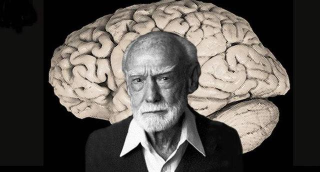 记忆心理学案例加原理,企业管理与心理学案例