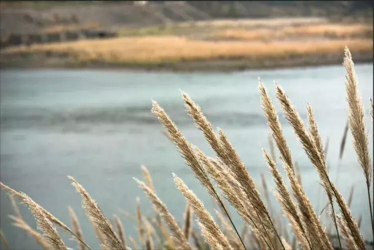沅陵凤滩介绍,沅陵县凤滩水电站风景